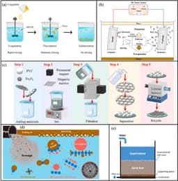 Microplastics in the Human Body: How Harmful Are They?