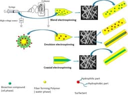 Superhydrophobic Surfaces: The Science of Water Repellency