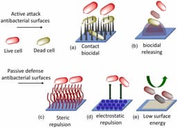 Antibacterial Surfaces in Public Health