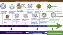 Nanomedicine: Treating Diseases at the Cellular Level