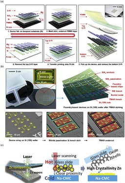 Biodegradable Electronics: A Cleaner Tech Revolution