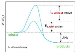 Enzyme Catalysis: The Key to Life