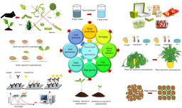  Sustainable Agriculture: Reducing Environmental Impact and Improving Food Security