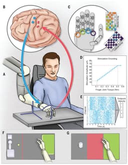 Brain-Computer Interfaces: Direct Communication with Machines