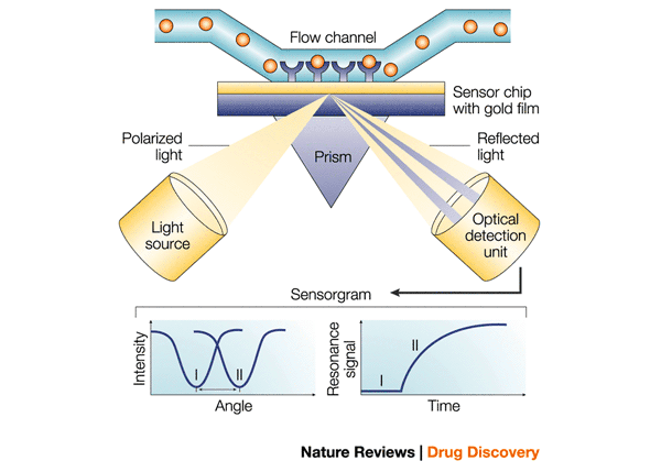 Next-Gen Biosensors: Optical Detection in Disease and Environment