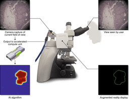 Nanobots in Medicine: Engineering Microscopic Machines to Fight Disease