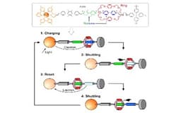 Molecular Machines: From Concept to Reality