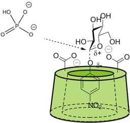 Artificial Enzymes for Industry