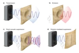 The Secret Engineering Behind Noise-Canceling Walls