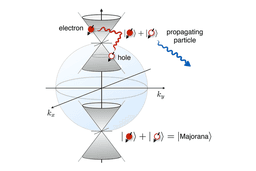 The Search for Majorana Fermions: Are They Real?