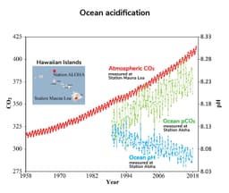  Ocean Acidification: The Threat to Marine Life