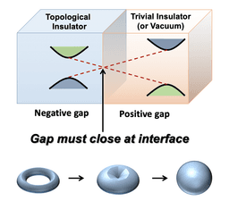 Topological Insulators: A New State of Matter