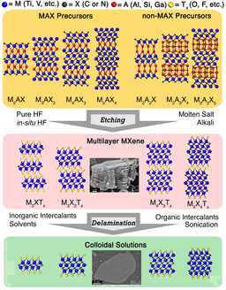 MXenes: The Two-Dimensional Superconductors