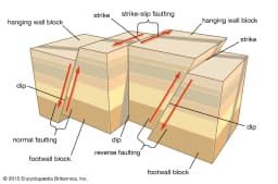 Bridge Engineering for Earthquake Zones
