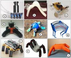 Soft Robotics: The Future of Flexible Machines