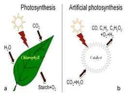  Artificial Photosynthesis: Creating Fuels from Sunlight and Water