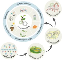 Synthetic Biology and Chemical Synthesis