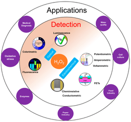 Solid-State Sensors for Advanced Robotics