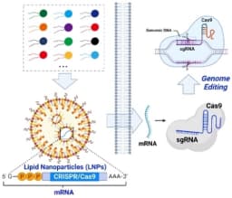 CRISPR Chemistry
