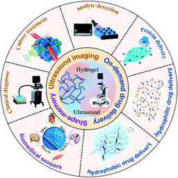 Hydrogel Applications in Medicine