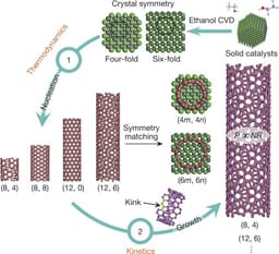  DNA Sequencing: Unraveling the Secrets of the Genome