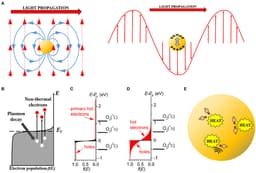 Plasmonic Catalysis: Light-Driven Chemical Transformations