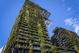 Green Skyscrapers