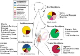  the Microbiome: How Gut Bacteria Influence Our Health
