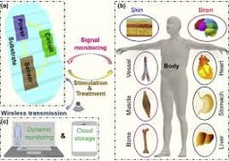 Biodegradable Electronics:  Dissolvable Circuits
