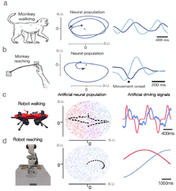 Beyond the Wheel: The Future of Locomotion in Engineering