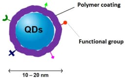 Quantum Spaghetti: Entangled Polymers for Unpredictable Innovation