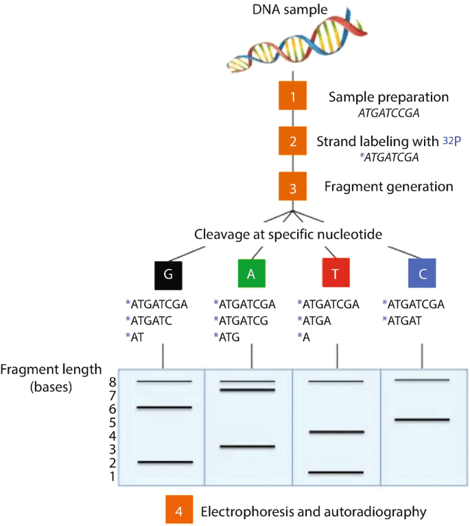 Lab-on-a-Chip: Revolutionizing Chemical Diagnostics