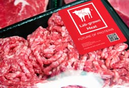 Chemistry of Lab-Grown Meat