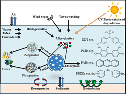  Microplastics: Understanding Their Impact on the Environment and Human Health