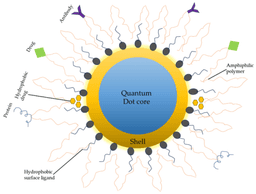 The Molecular Science of Quantum Dots