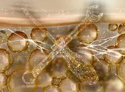 Self-Healing Materials: The Future of Repair-Free Products