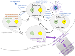 How High-Energy Physics is Helping Develop New Cancer Treatments