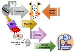 Could Quantum Biology Explain the Mystery of Human Consciousness?