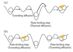 Can Quantum Tunneling Create Impossible Chemical Reactions?