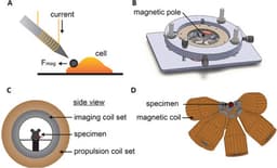 Why Do We Still Use Gears? The Case for Magnetic Mechanical Systems