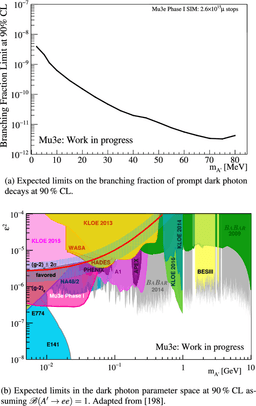 Are We Seeing Hints of a Fifth Fundamental Force?