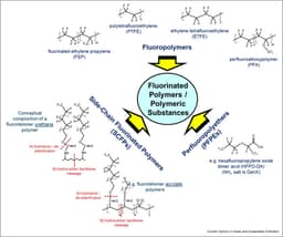  Fluorinated Polymers