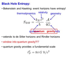The Role of Entropy in Black Hole Physics