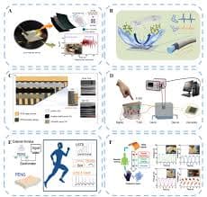 Self-Powered Wearables: The Future of Energy Harvesting